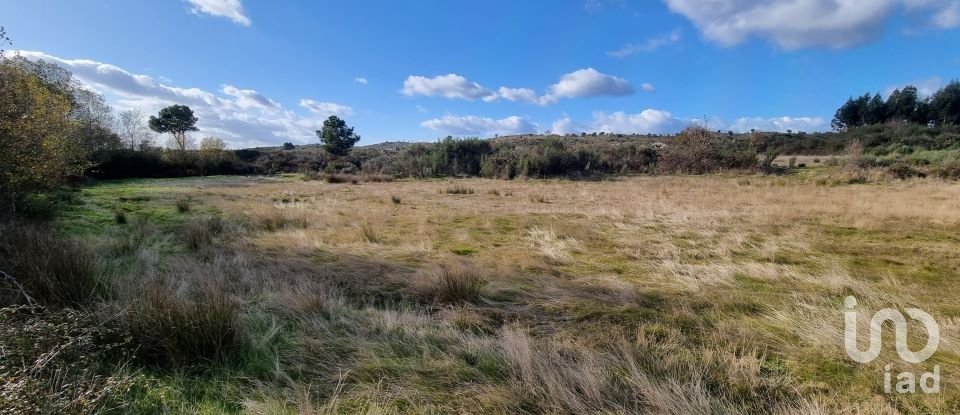 Farm T0 in Juncais, Vila Ruiva e Vila Soeiro do Chão of 85,000 m²