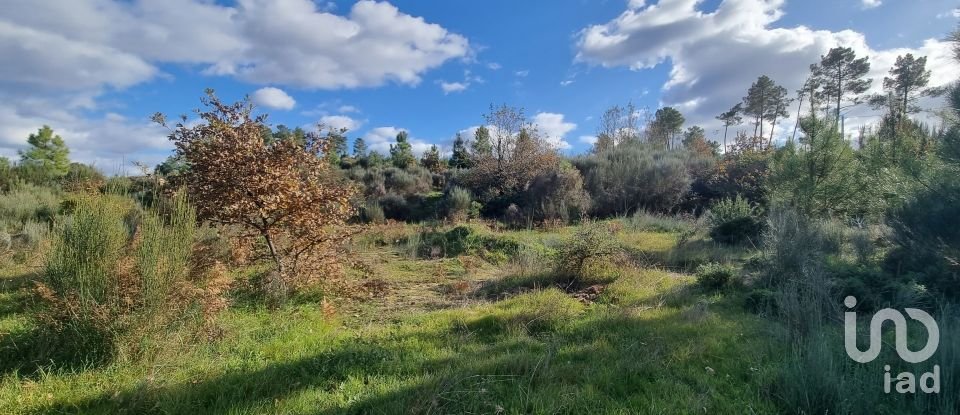 Farm T0 in Juncais, Vila Ruiva e Vila Soeiro do Chão of 85,000 m²