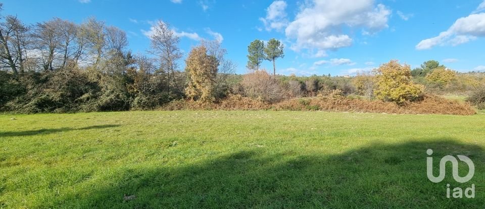 Farm T0 in Juncais, Vila Ruiva e Vila Soeiro do Chão of 85,000 m²