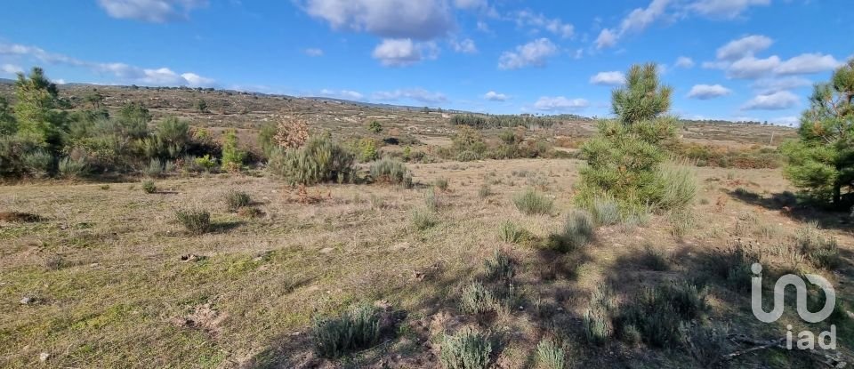 Farm T0 in Juncais, Vila Ruiva e Vila Soeiro do Chão of 85,000 m²