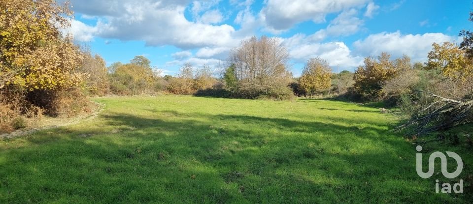 Farm T0 in Juncais, Vila Ruiva e Vila Soeiro do Chão of 85,000 m²