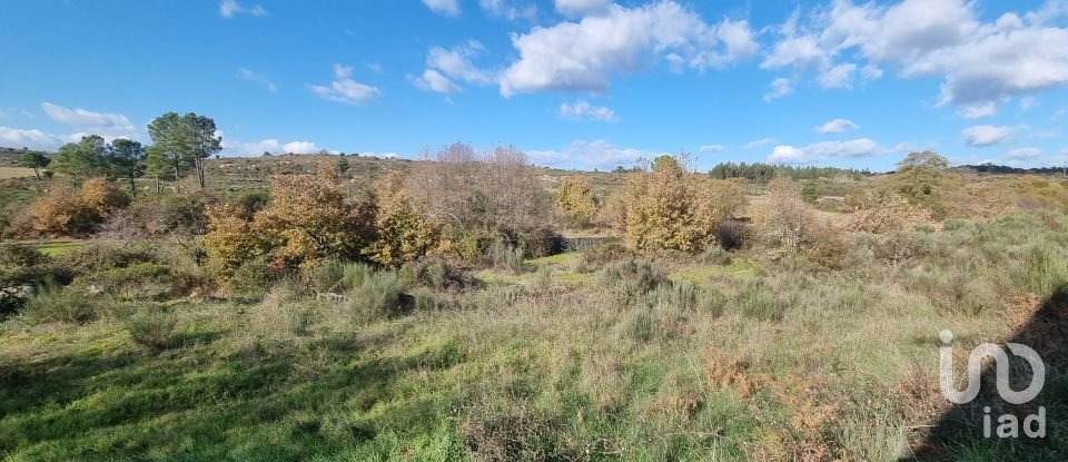 Farm T0 in Juncais, Vila Ruiva e Vila Soeiro do Chão of 85,000 m²