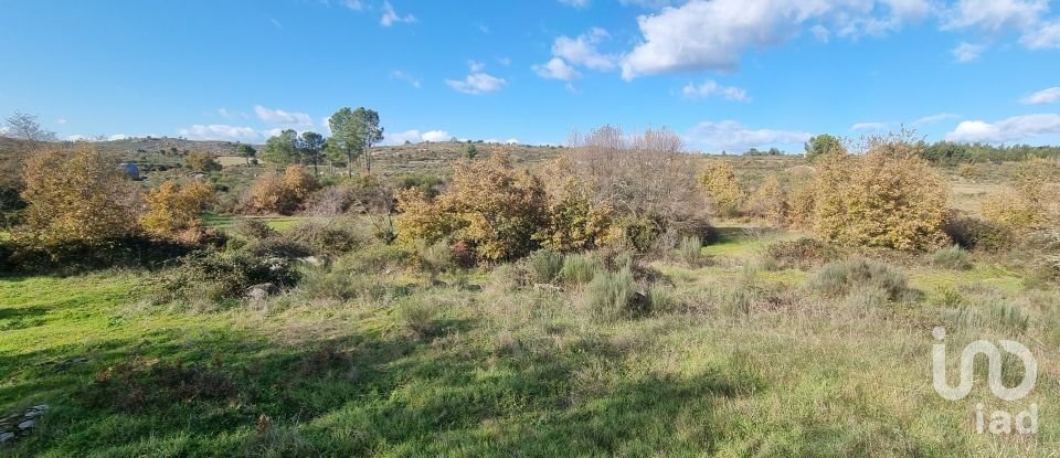 Farm T0 in Juncais, Vila Ruiva e Vila Soeiro do Chão of 85,000 m²