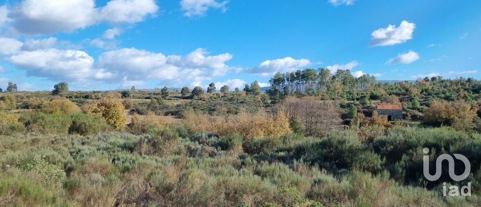 Farm T0 in Juncais, Vila Ruiva e Vila Soeiro do Chão of 85,000 m²
