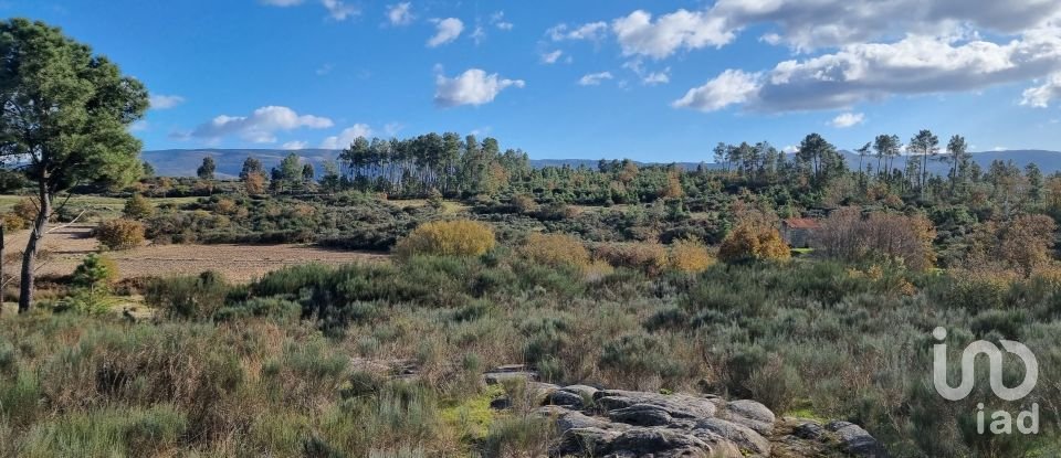 Farm T0 in Juncais, Vila Ruiva e Vila Soeiro do Chão of 85,000 m²