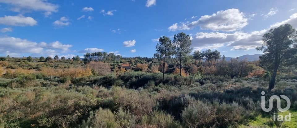Farm T0 in Juncais, Vila Ruiva e Vila Soeiro do Chão of 85,000 m²