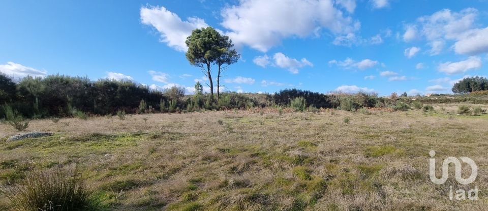 Farm T0 in Juncais, Vila Ruiva e Vila Soeiro do Chão of 85,000 m²
