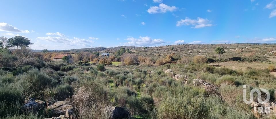 Farm T0 in Juncais, Vila Ruiva e Vila Soeiro do Chão of 85,000 m²