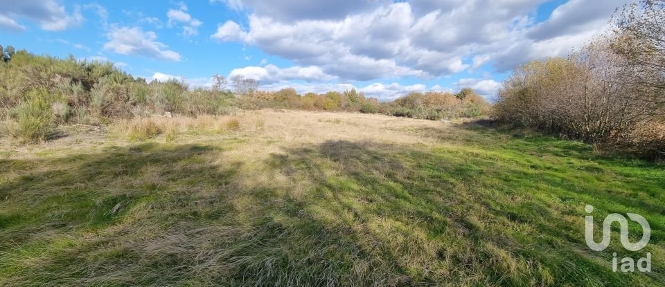 Farm T0 in Juncais, Vila Ruiva e Vila Soeiro do Chão of 85,000 m²