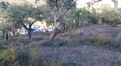 Terrain agricole à Galveias de 13 500 m²