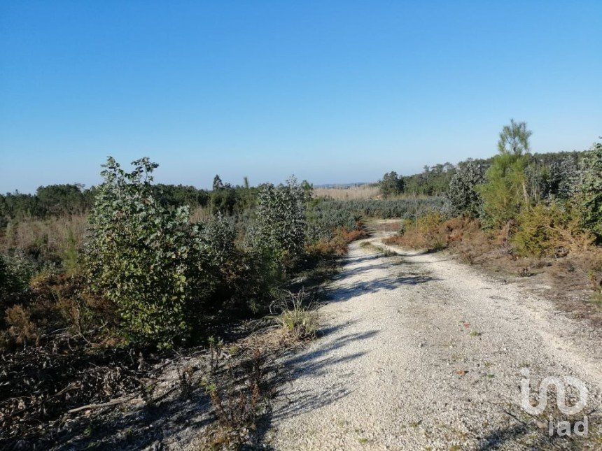 Land in Monte Real e Carvide of 140,000 m²