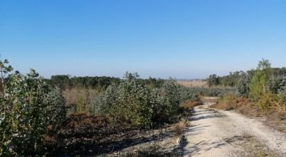Land in Monte Real e Carvide of 140,000 m²