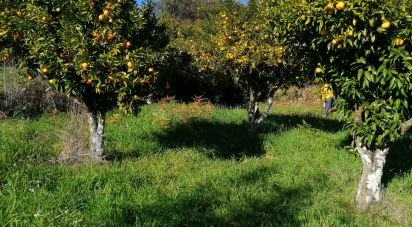 Terrain à Pedrógão Pequeno de 1 230 m²