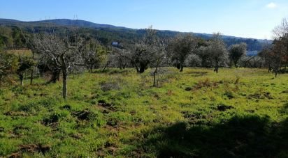 Terrain à Pedrógão Pequeno de 1 230 m²
