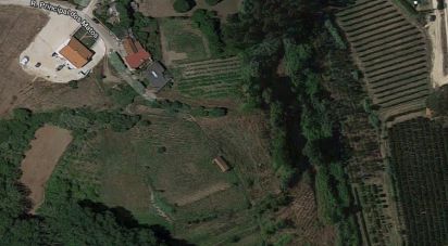 Terrain agricole à Alcobaça e Vestiaria de 11 000 m²