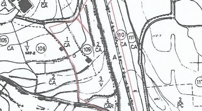 Terrain agricole à Alcobaça e Vestiaria de 11 000 m²
