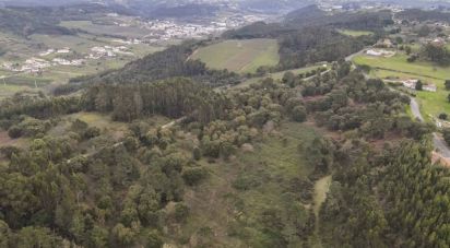 Terreno em Santa Catarina de 57 000 m²
