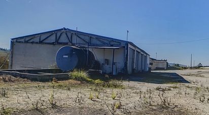 Domaine T20 à Santa Maria, São Pedro E Matacães de 2 480 m²