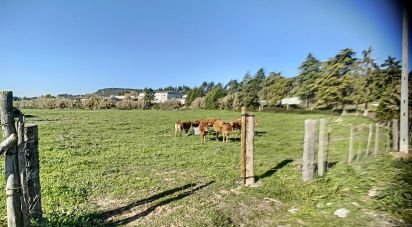 Domaine T20 à Santa Maria, São Pedro E Matacães de 2 480 m²