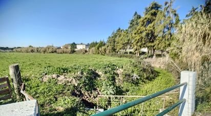 Domaine T20 à Santa Maria, São Pedro E Matacães de 2 480 m²