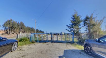 Domaine T20 à Santa Maria, São Pedro E Matacães de 2 480 m²