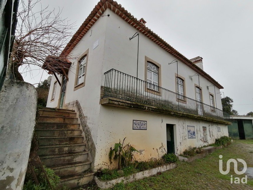 House T3 in Castelo Branco of 237 m²