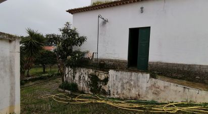 Maison T3 à Castelo Branco de 237 m²