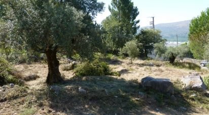 Terrain à bâtir à Mira de Aire de 526 m²