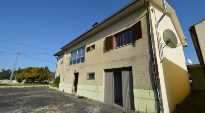 House T4 in Lamas of 493 m²