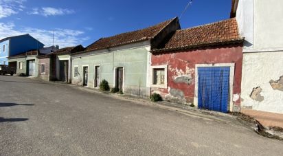 Maison T0 à Achete, Azoia De Baixo e Póvoa de Santarém de 171 m²