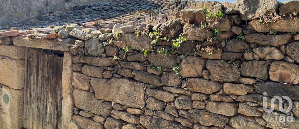 Casa de aldeia T3 em Freixeda do Torrão, Quintã de Pêro Martins e Penha de Águia de 108 m²