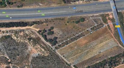 Terrain à Quinta do Anjo de 4 000 m²