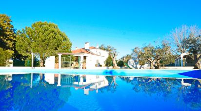 Maison T5 à Alcácer do Sal (Santa Maria do Castelo e Santiago) e Santa Susana de 8 300 m²