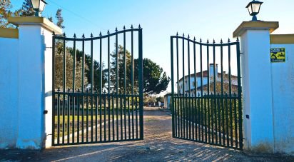 Maison T5 à Alcácer do Sal (Santa Maria do Castelo e Santiago) e Santa Susana de 8 300 m²