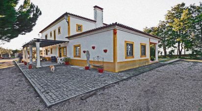 Maison T5 à Alcácer do Sal (Santa Maria do Castelo e Santiago) e Santa Susana de 8 300 m²