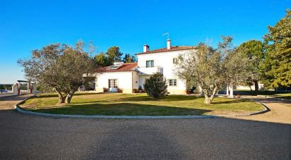 Maison T5 à Alcácer do Sal (Santa Maria do Castelo e Santiago) e Santa Susana de 8 300 m²