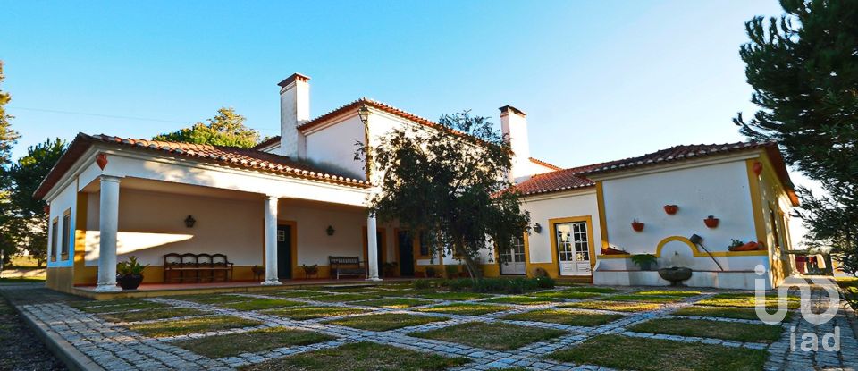 Casa / Villa T5 em Alcácer do Sal (Santa Maria do Castelo e Santiago) e Santa Susana de 8 300 m²
