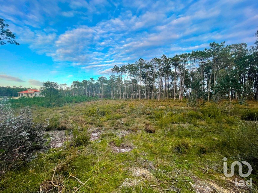 Terrain à bâtir à Monte Redondo e Carreira de 3 030 m²