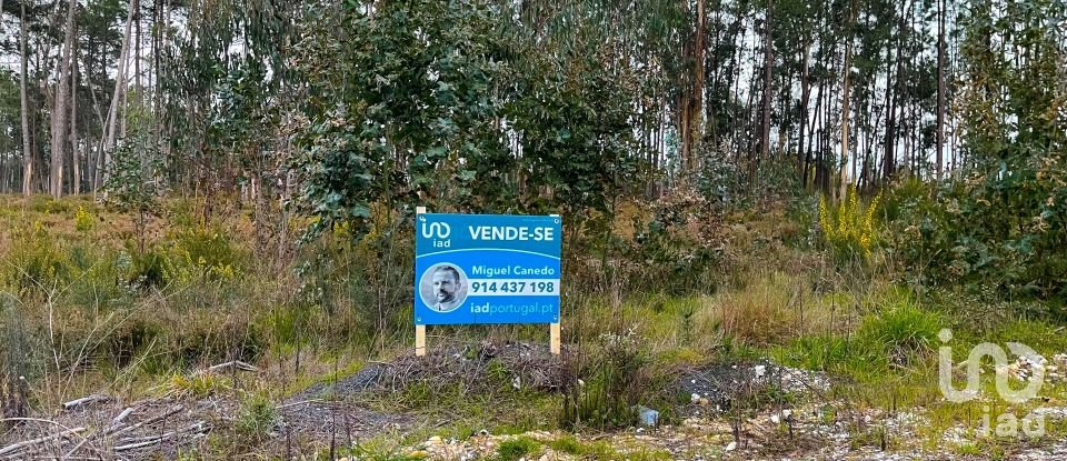 Building land in Monte Redondo e Carreira of 3,030 m²