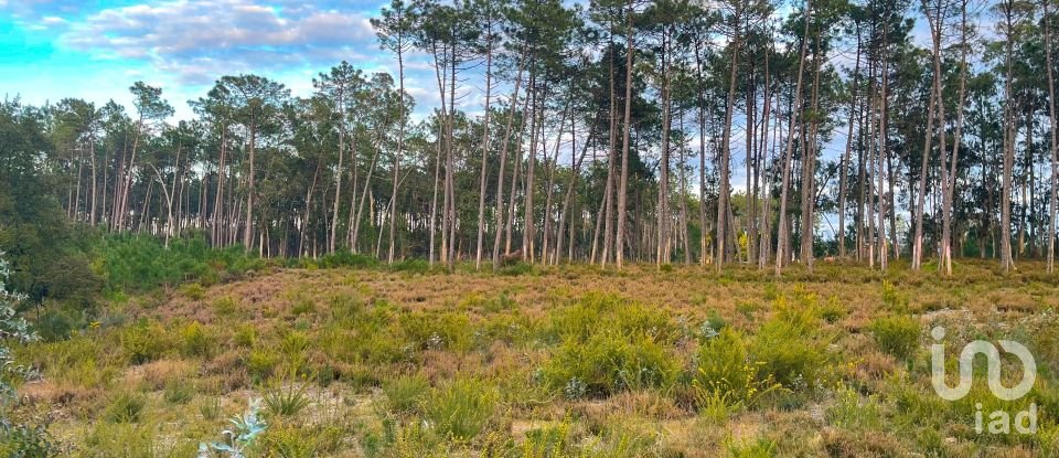 Terrain à bâtir à Monte Redondo e Carreira de 3 030 m²