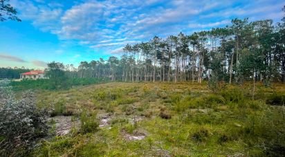 Terrain à bâtir à Monte Redondo e Carreira de 890 m²