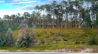 Terrain à bâtir à Monte Redondo e Carreira de 890 m²