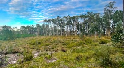 Terrain à bâtir à Monte Redondo e Carreira de 880 m²