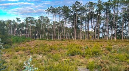Terrain à bâtir à Monte Redondo e Carreira de 880 m²