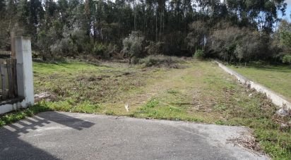 Terreno em Pedreiras de 1 815 m²