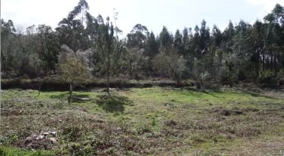 Land in Pedreiras of 1,815 m²