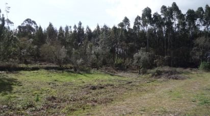 Terrain à Pedreiras de 1 815 m²