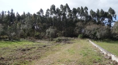 Land in Pedreiras of 1,815 m²
