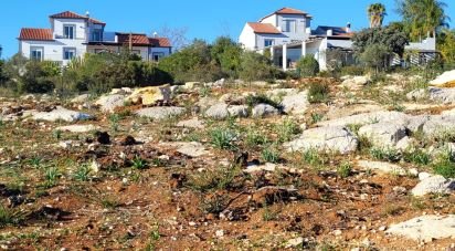 Terrain agricole à Quelfes de 18 329 m²