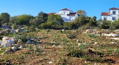 Terrain agricole à Quelfes de 18 329 m²
